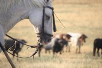 Mención especial mejor conjunto 1. Ernesto J. Fernández Magdaleno 1