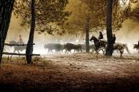 PRIMER PREMIO MAITE GARCIA-PREMIO FIESTAS 2012