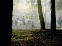 Recorrido por el pinar