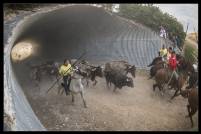 Mención Especial Carlos Mediavilla