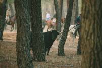 2º premio ánguel Torres Martínez