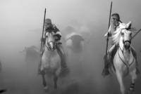 Primer premio.fiestas 2010