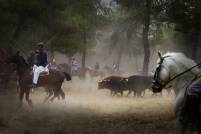 Teodoro Marcos comprada 2 - copia