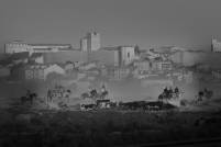 _1º Luis Marcos 2011